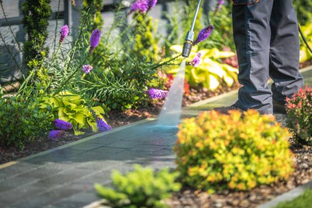 Best Parking Lot and Garage Cleaning  in Livermore, CA